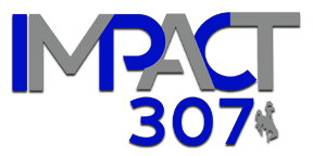 impact307_main_steamboat_logo-final