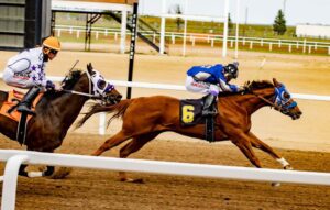 307 Horse Racing
